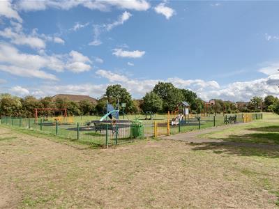 Picture 24